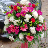 Candidate Image